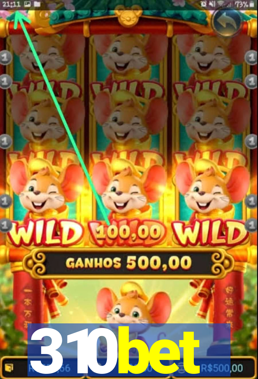 310bet