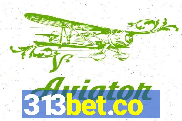 313bet.co
