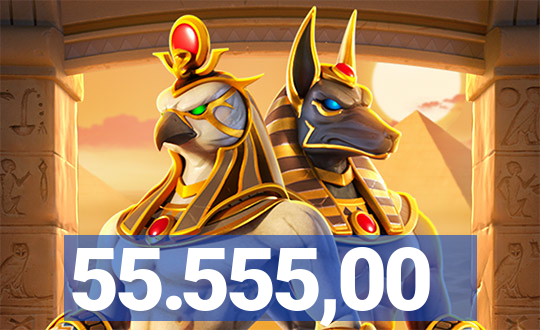 55.555,00