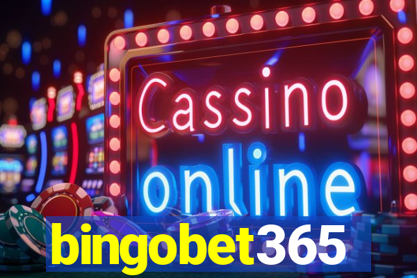 bingobet365
