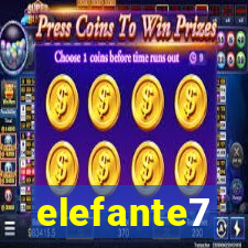elefante7