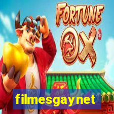 filmesgaynet