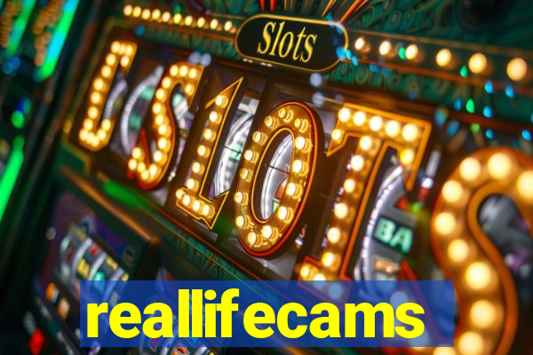 reallifecams