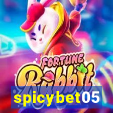 spicybet05