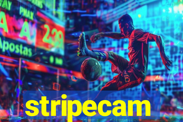 stripecam