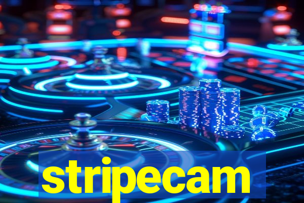 stripecam