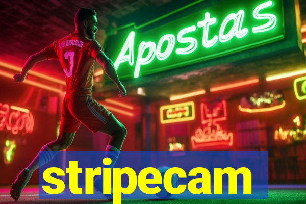 stripecam
