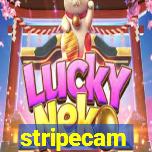 stripecam