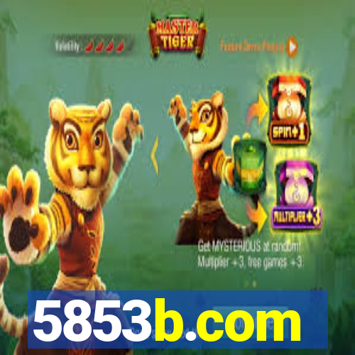 5853b.com