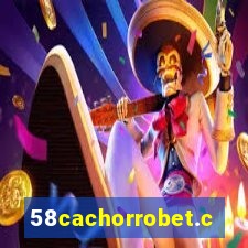 58cachorrobet.com