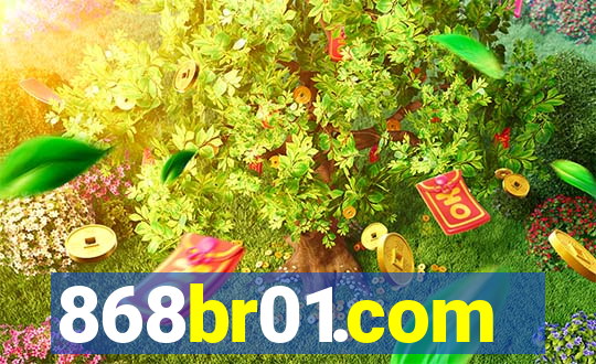 868br01.com