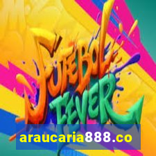 araucaria888.com