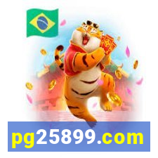 pg25899.com