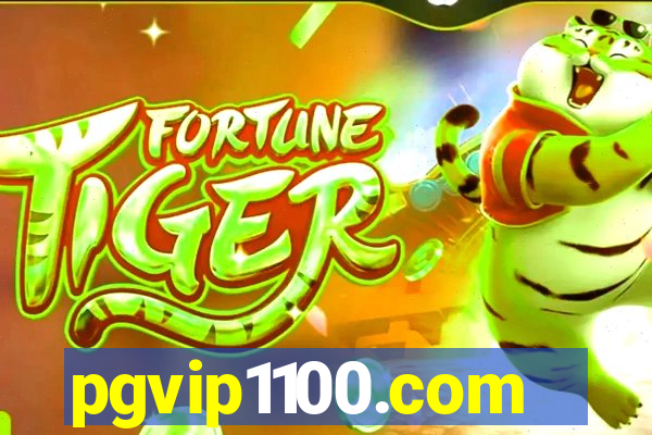 pgvip1100.com